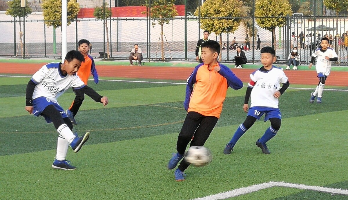 但这场胜利 但这场胜利