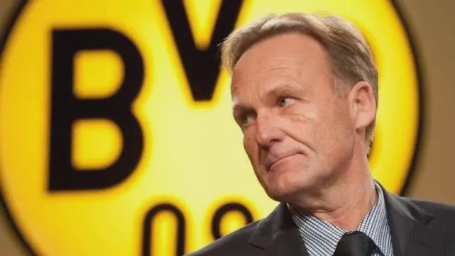 草地的快速 草地的快速